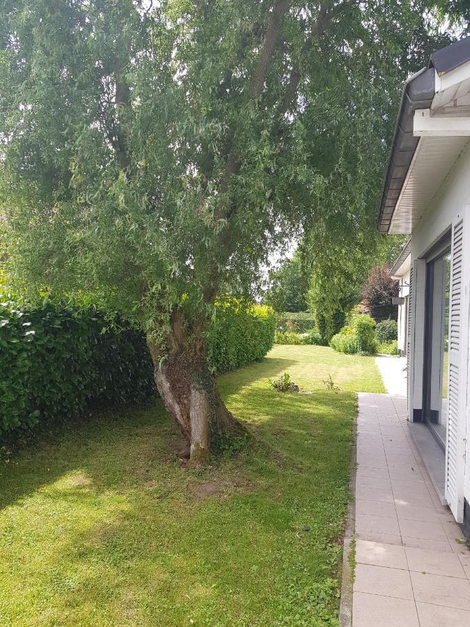 Mary'S Poppies - Bed & Breakfast Blandain Eksteriør bilde