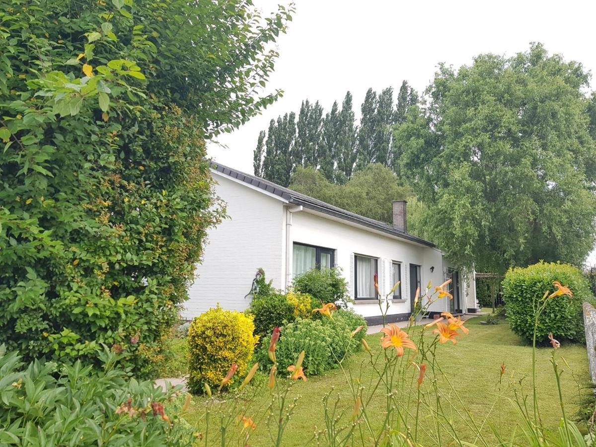 Mary'S Poppies - Bed & Breakfast Blandain Eksteriør bilde