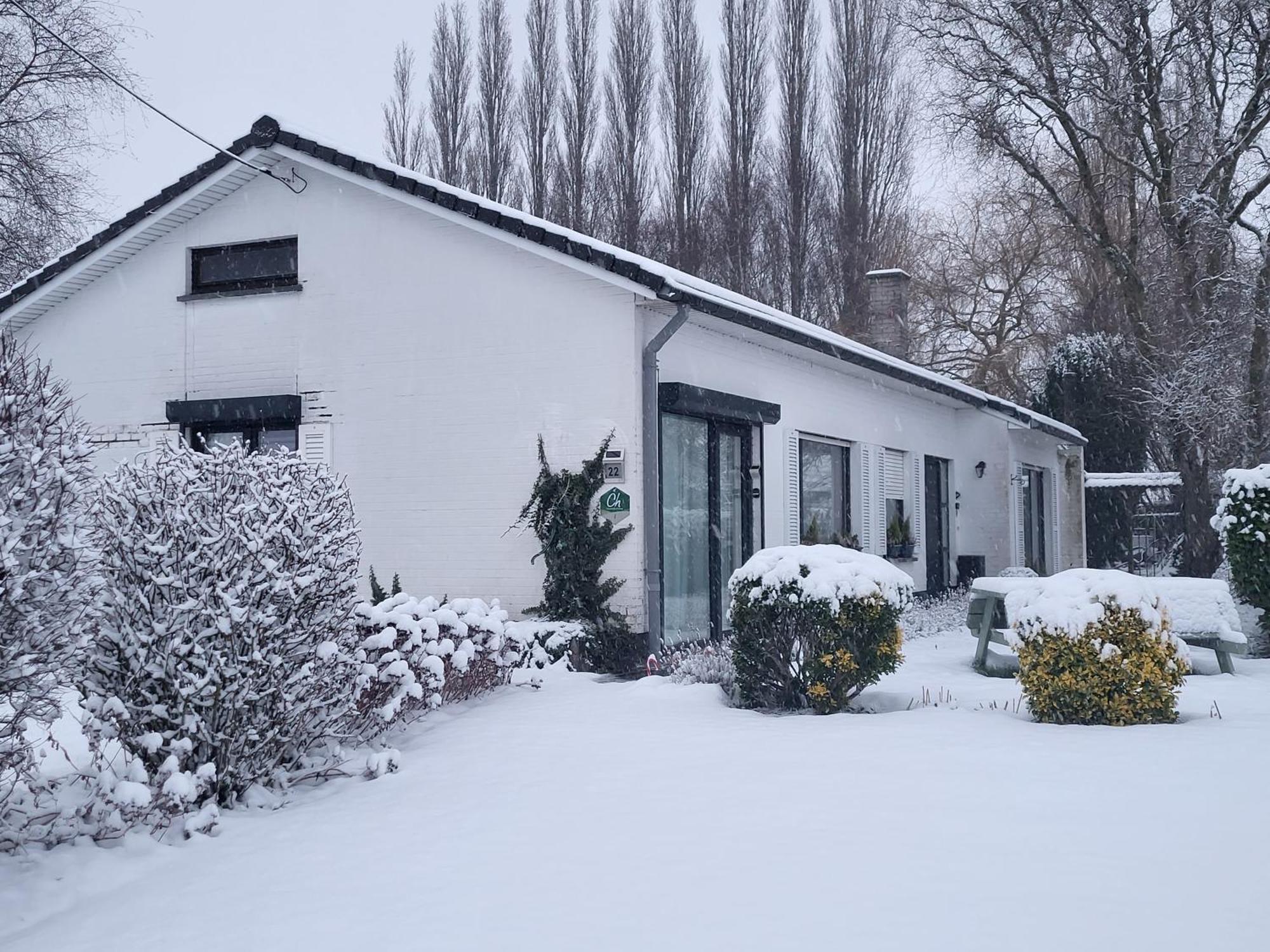 Mary'S Poppies - Bed & Breakfast Blandain Eksteriør bilde